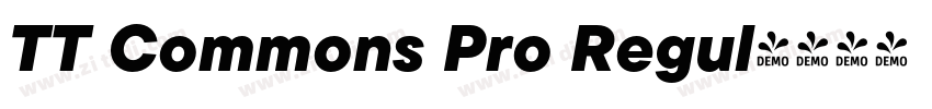 TT Commons Pro Regul字体转换 TT Commons Pro Regul字体转换